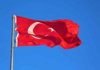 Turquía permitirá el envío de los respiradores comprados por España