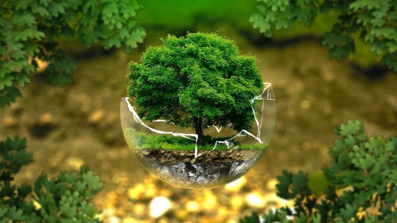 La sostenibilidad, el viaje para conquistar a los consumidores “eco-activos” a través del propósito