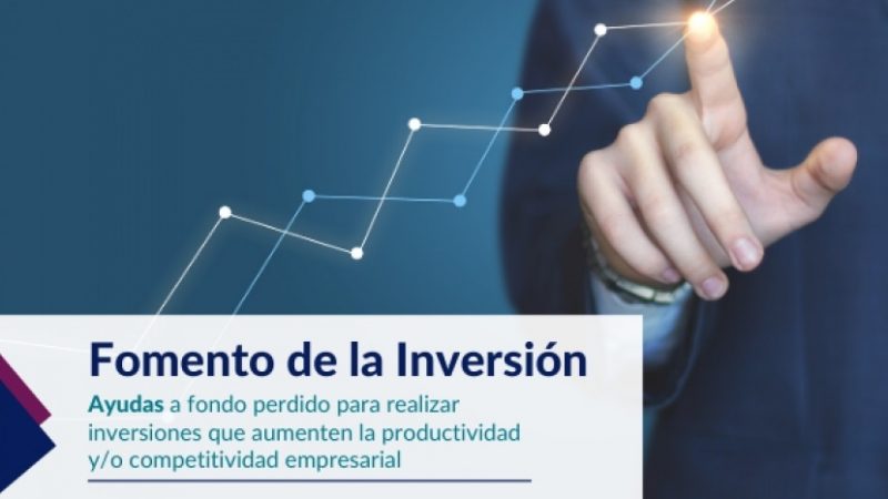 ADELANTE INVERSIÓN, Ayudas y subvenciones para el Fomento de la Inversión y la mejora de la productividad Empresarial en Castilla-La Mancha.