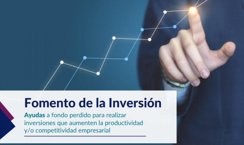 ADELANTE INVERSIÓN, Ayudas y subvenciones para el Fomento de la Inversión y la mejora de la productividad Empresarial en Castilla-La Mancha.