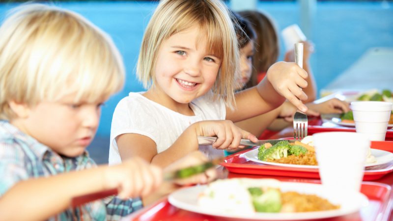 Debate abierto: ¿Es necesario introducir una asignatura de nutrición en las escuelas?